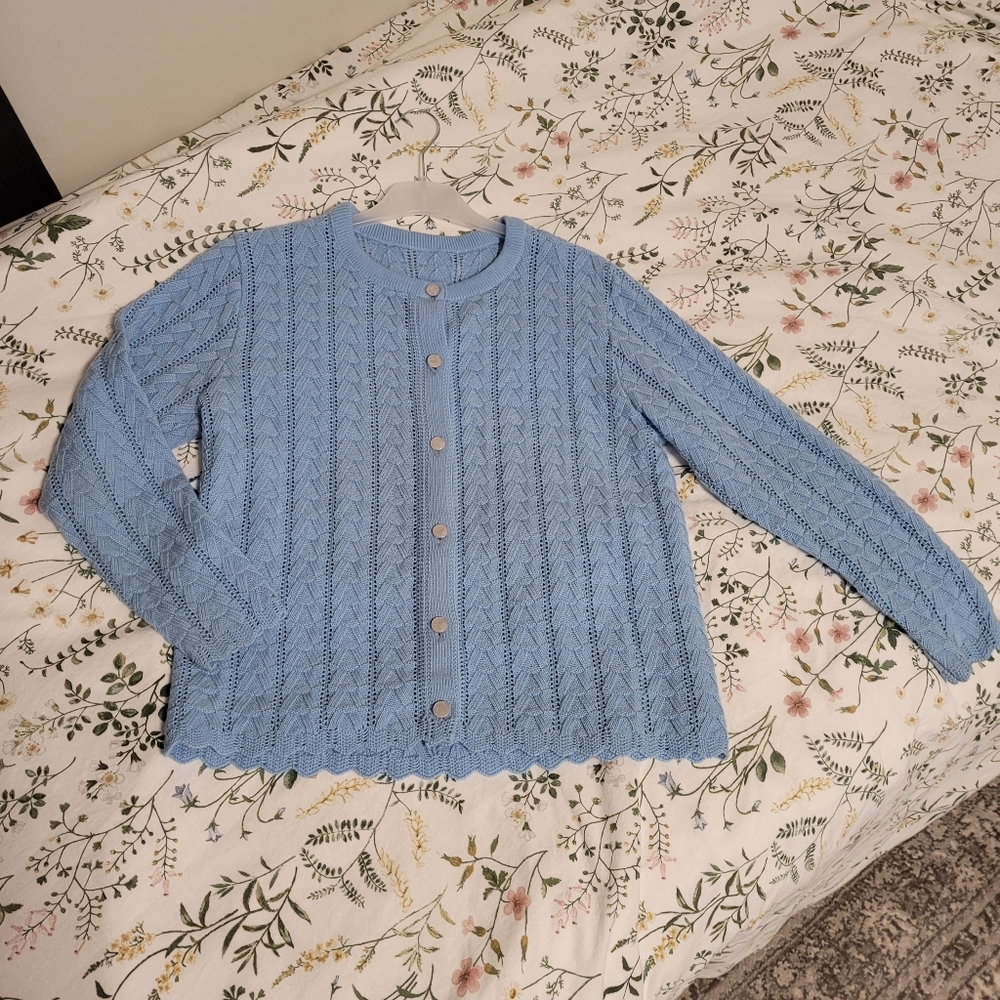 Blue Cardigan
